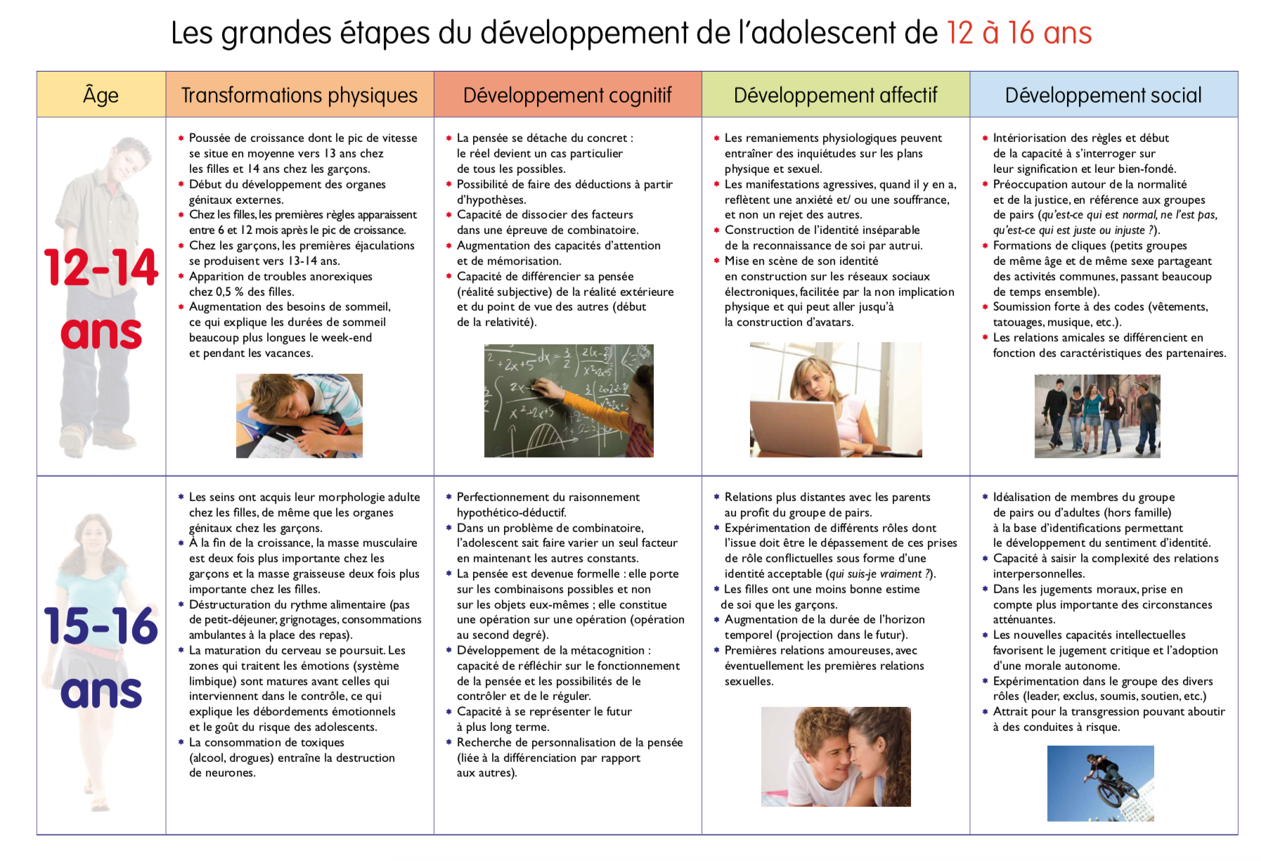 Les grandes étapes de l'ado